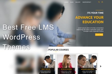 best free LMS WordPress themes